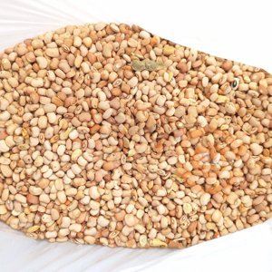 PROD-w38u92.jpg PROD-w38u92.jpg